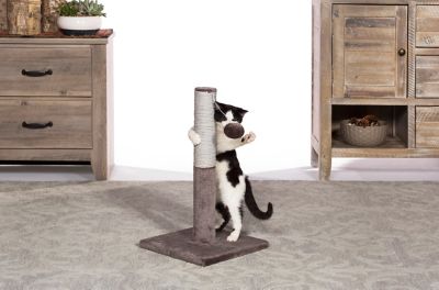 Image showing  Play and Scratch Cat Toy Post