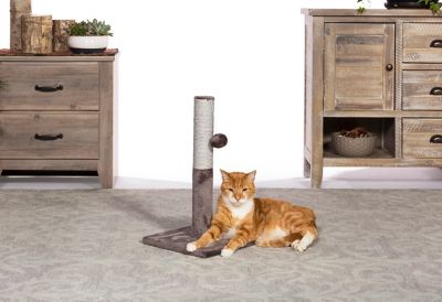 Image showing  Play and Scratch Cat Toy Post