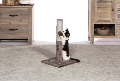 Image showing  Play and Scratch Cat Toy Post
