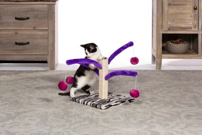 Image showing  Bounce and Spring Jute Rope Cat Scratcher Toy, 11-3/4 in.