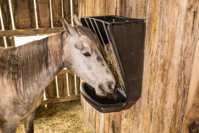 Image showing  3 Flake Wall-Mounted Poly Hay and Grain Feeder