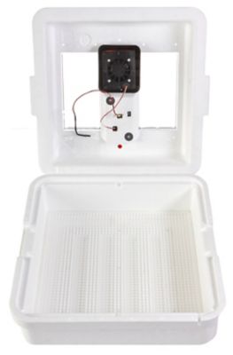 Little Giant 41-Egg Capacity Still-Air Egg Incubator