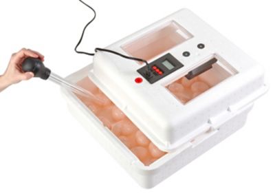 Image showing  41-Egg Capacity Still-Air Egg Incubator