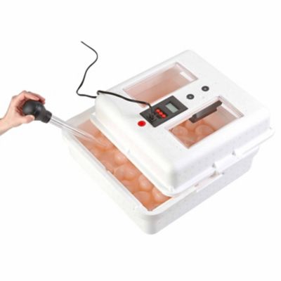 Image showing 5 th Little Giant 41-Egg Capacity Still-Air Egg Incubator