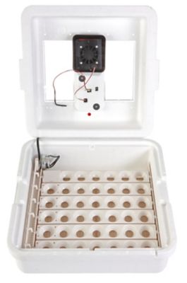 Image showing 6 th Little Giant 41-Egg Capacity Still-Air Egg Incubator
