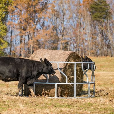 Image showing  1 Round Bale 8 ft. Round Hay Bale Feeder for Livestock, Galvanized, GFOE