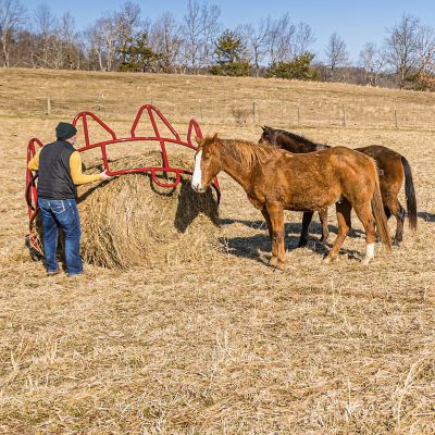 Image showing  1,000 - 2,000 lb. Open-Top Steel Horse Bale Feeder, 8 ft. x 50 in.