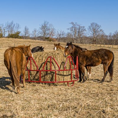 Image showing  1,000 - 2,000 lb. Open-Top Steel Horse Bale Feeder, 8 ft. x 50 in.