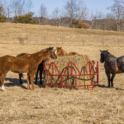 Image showing  1,000 - 2,000 lb. Open-Top Steel Horse Bale Feeder, 8 ft. x 50 in.