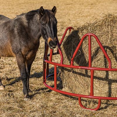 Image showing  1,000 - 2,000 lb. Open-Top Steel Horse Bale Feeder, 8 ft. x 50 in.