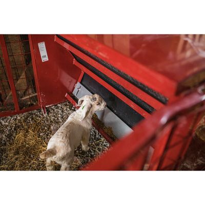 Image showing  650 lb. Goat Creep Feeder, Red