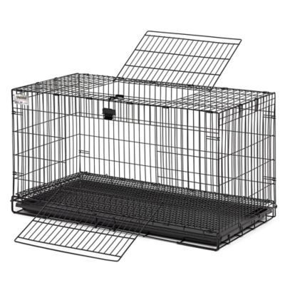 Tractor supply deals rabbits for sale