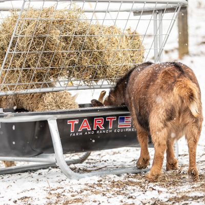 Image showing  Goat Bunk Feeder