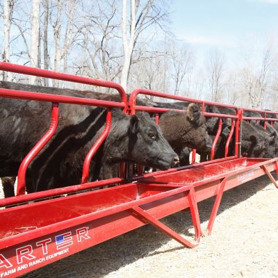 Image showing  Corrosion-Resistant Metal Grain Feeder, 10 ft., Red