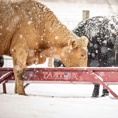 Image showing  Corrosion-Resistant Metal Grain Feeder, 10 ft., Red
