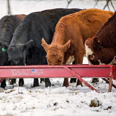 Image showing  Corrosion-Resistant Metal Grain Feeder, 10 ft., Red
