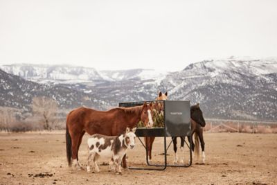 Image showing  6 Flake Equine Elevated Hay and Grain Feeder, 6 ft.