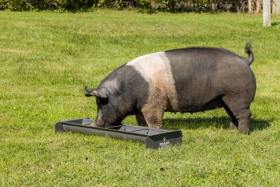 Image showing  4 ft. 14 Gauge Steel Feed Trough