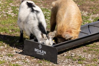 Image showing  4 ft. 14 Gauge Steel Feed Trough