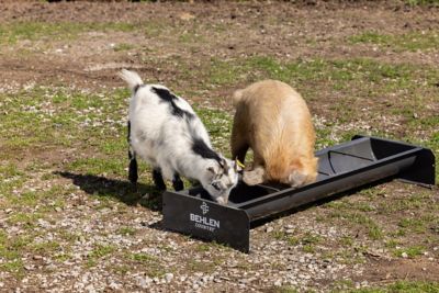 Image showing  4 ft. 14 Gauge Steel Feed Trough