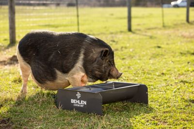 Image showing  2 ft. 14 Gauge Steel Feed Trough