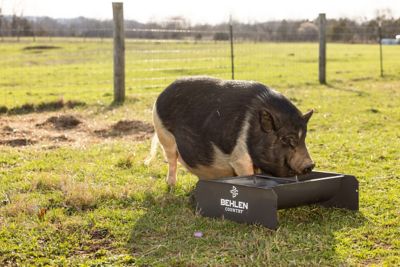 Image showing  2 ft. 14 Gauge Steel Feed Trough