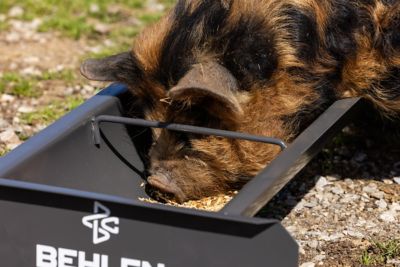 Image showing  2 ft. 14 Gauge Steel Feed Trough