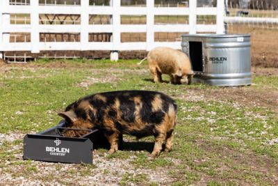 Image showing 5 th Behlen Country 2 ft. 14 Gauge Steel Feed Trough