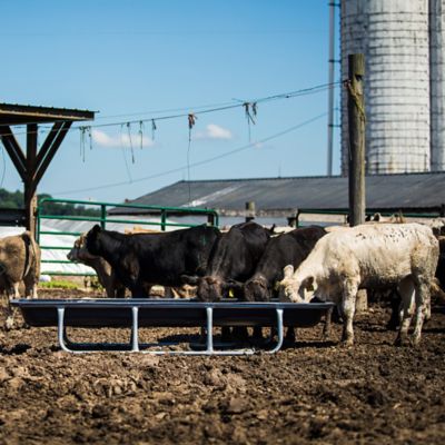 Image showing  10 ft. Galvanized Bunk Feeder, 1PEB10