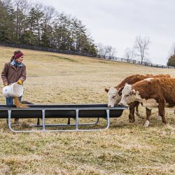 CountyLine Bunk Feeders