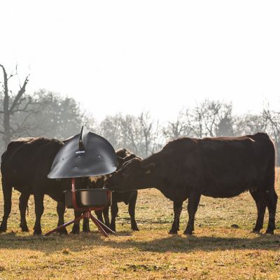 Image showing  50 lb. Twister Mineral Feeder