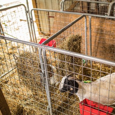 Image showing  10 ft. x 52 in. Kid Goat Wire Panel