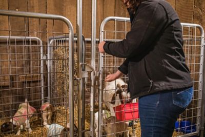 Image showing  5 ft. x 7 ft. Walk Through Pen Kid Goat Wire Panel