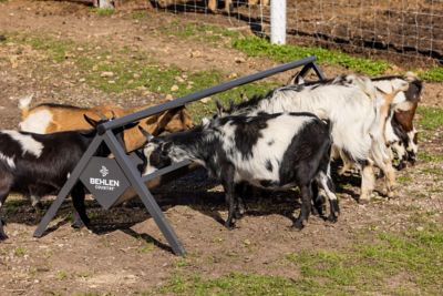 Image showing  Feed Trough 8 ft. Goat