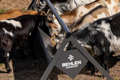 Image showing  Feed Trough 8 ft. Goat
