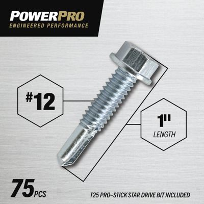 Image showing  Power Pro Premium Star Drive Hex Washer Sheet Metal Screws (#12-24 x 1 in.) - 1lb