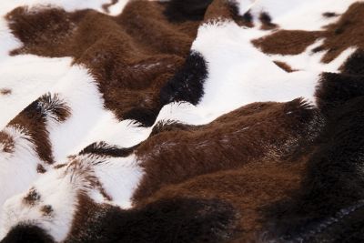 Image showing Throw Cowhide Plush