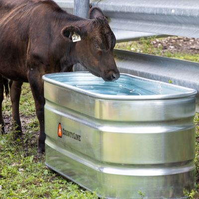 Image showing  170 gal. Oval Galvanized Stock Tank, 2 ft. X 6 ft. X 2 ft., WT226CL