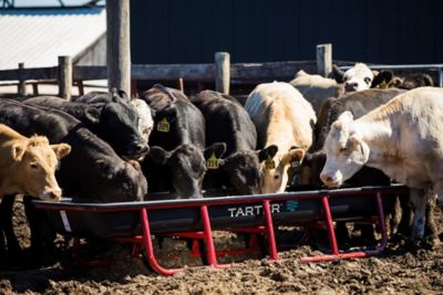 Image showing  Poly Bunk Feeder Liner, 10 ft.