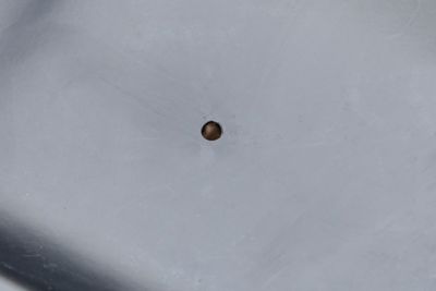 Image showing  Poly Bunk Feeder Liner, 10 ft.