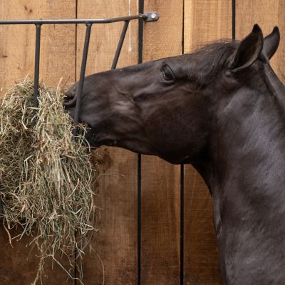 Image showing 2-3 Flake Wall-Mounted Steel Hay Rack Feeder