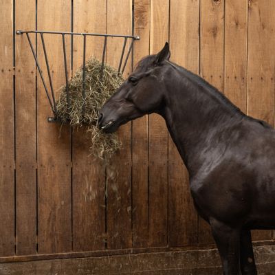 Image showing 2-3 Flake Wall-Mounted Steel Hay Rack Feeder