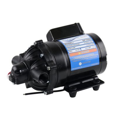 Everflo 12 V On-Demand Diaphragm Pump, 7.0GPM, 60 PSI Max, 1/2 in. NPT Ports