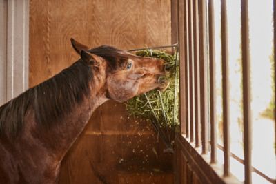 Image showing  3 Flake Corner Mount Steel Hay Feeder