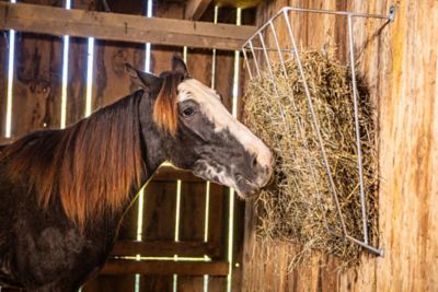Image showing  3 Flake Galvanized Manger Wall-Mounted Hay Feeder