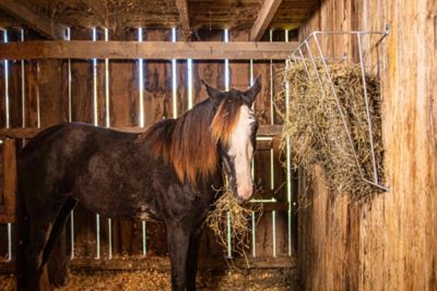 Image showing  3 Flake Galvanized Manger Wall-Mounted Hay Feeder