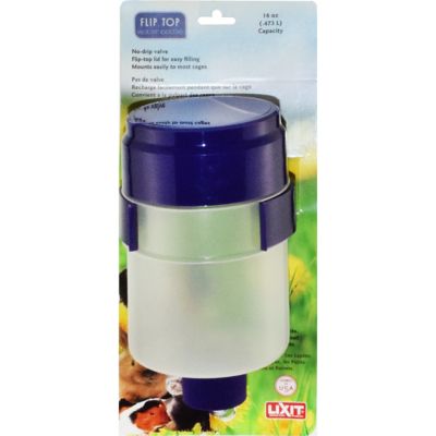 Lixit flip clearance top water bottle