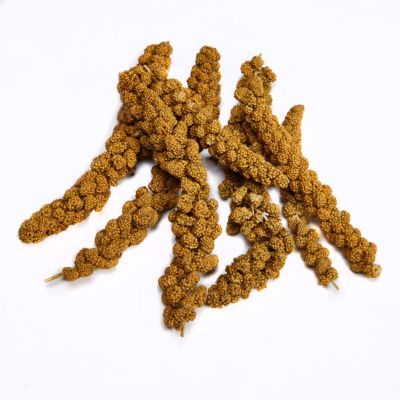 Image showing Spray Millet, 12 Count