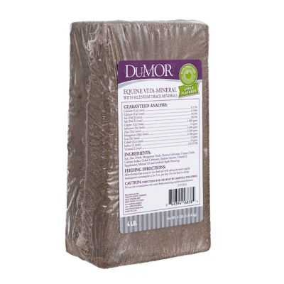 Image showing  Equine Vita-Mineral Brick, 4 lb.