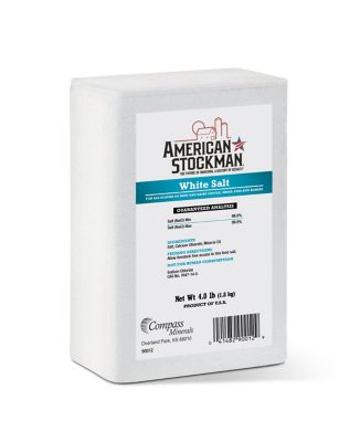 American Stockman White Livestock Cattle Salt Brick, 4 lb.